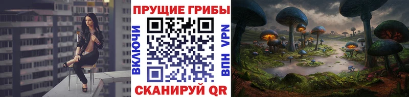 Псилоцибиновые грибы Cubensis  Керчь 